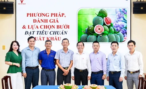 Vina T&T Group đồng hàng cùng Trị An phát triển chuỗi giá trị bưởi xuất khẩu