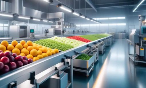 Dây chuyền chế biến nông sản tiết kiệm năng lượng: Hướng đi tất yếu để nâng cao sức cạnh tranh