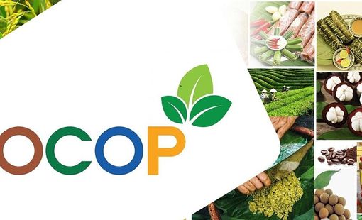 Doanh nghiệp nào đang thực sự “thắng” trong OCOP?