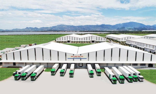 Ai đang điều tiết chuỗi giá trị nông sản Việt Nam? Góc nhìn công nghiệp nông thôn 2026