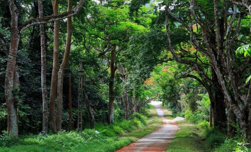 Điểm du lịch quanh Hà Nội khiến bạn chỉ muốn xách ba lô lên và đi ngay cuối tuần này