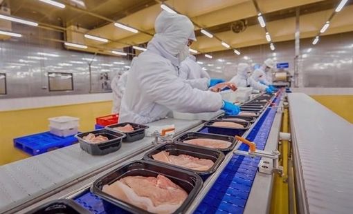 Ai đang thực sự hưởng lợi từ chuỗi chăn nuôi Việt Nam?