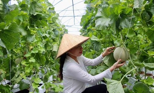 Hà Nội hoàn thiện Bộ tiêu chí nông thôn mới giai đoạn 2026-2030: Hướng tới nông thôn xanh, thông minh và phát triển bền vững