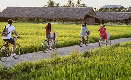 Du lịch nông thôn bước vào kỷ nguyên số: Đòn bẩy mới cho kinh tế nông thôn bền vững
