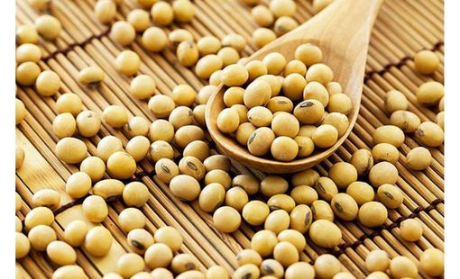 Tổng quan về vai trò dự phòng bệnh lý tim mạch của Nattokinase – Một sản phẩm được bào chế từ đậu nành
