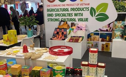 OCOP và kinh tế xanh: Mở rộng không gian phát triển cho nông thôn Việt Nam