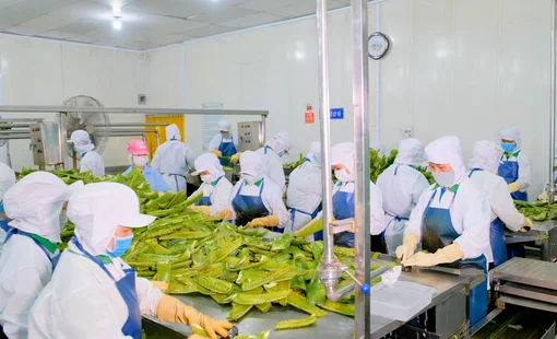 Doanh nghiệp nông thôn tạo động lực nâng tầm nông sản Việt