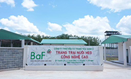 BAF Việt Nam bị phạt hơn 820 triệu đồng do vi phạm quy định về tập trung kinh tế