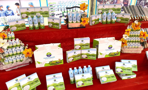 Phát triển thương hiệu Vinhtuongmilk bằng chất lượng thật, nâng tầm giá trị sữa bò địa phương
