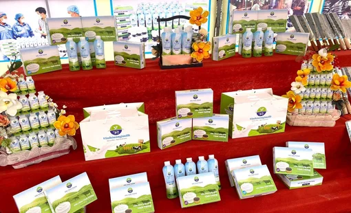 Phát triển thương hiệu Vinhtuongmilk bằng chất lượng thật, nâng tầm giá trị sữa bò địa phương
