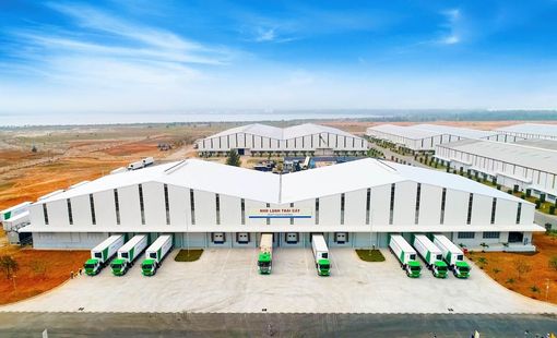 “Câu chuyện lạnh” của nông sản Việt: Từ sau thu hoạch đến siêu thị quốc tế
