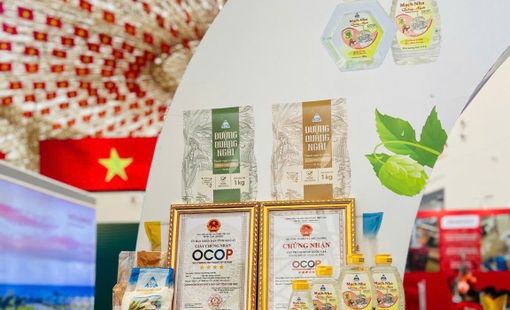 Quảng Ngãi hướng tới thêm 60 sản phẩm OCOP mới trong năm 2026