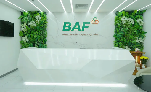 BAF Việt Nam nâng vốn lên hơn 3.600 tỷ đồng sau loạt phát hành cổ phiếu
