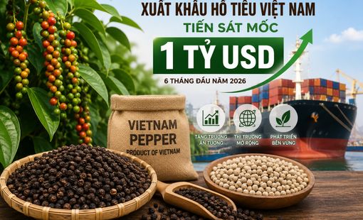 Hồ tiêu Việt Nam tiến sát mốc 1 tỷ USD xuất khẩu, củng cố vị thế trên thị trường thế giới