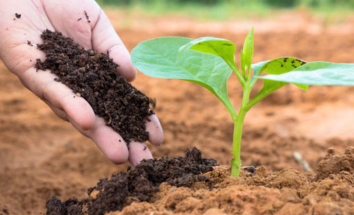 Ngành phân bón trước sức ép tái cấu trúc: Từ tự chủ nguồn cung đến chuyển đổi xanh