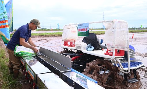 Trình diễn canh tác giảm phát thải thúc đẩy sản xuất lúa xanh bền vững hiệu quả