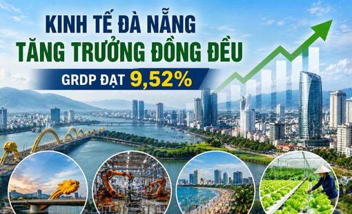 Đà Nẵng duy trì đà tăng trưởng kinh tế, nông nghiệp tiếp tục phát triển ổn định trong 6 tháng đầu năm 2026