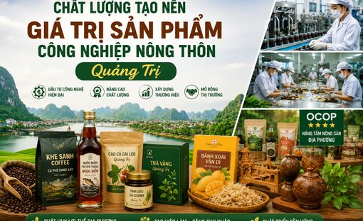 Chất lượng tạo nên giá trị sản phẩm công nghiệp nông thôn Quảng Trị
