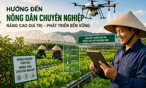 Hướng đến lớp nông dân chuyên nghiệp – Nền tảng cho nền nông nghiệp hiện đại
