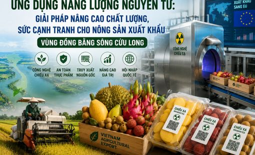 Ứng dụng năng lượng nguyên tử: "Chìa khóa" nâng sức cạnh tranh cho nông sản xuất khẩu Đồng bằng sông Cửu Long