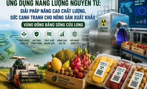Ứng dụng năng lượng nguyên tử: "Chìa khóa" nâng sức cạnh tranh cho nông sản xuất khẩu Đồng bằng sông Cửu Long