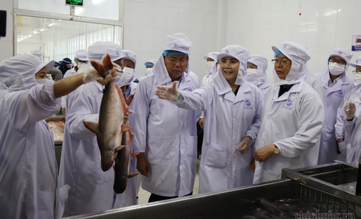 Xây dựng chuỗi liên kết bền vững, nâng cao giá trị nông sản và thủy sản Việt Nam