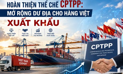 Hoàn thiện hành lang pháp lý giúp doanh nghiệp tận dụng hiệu quả CPTPP, nâng cao năng lực cạnh tranh và thúc đẩy xuất khẩu bền vững