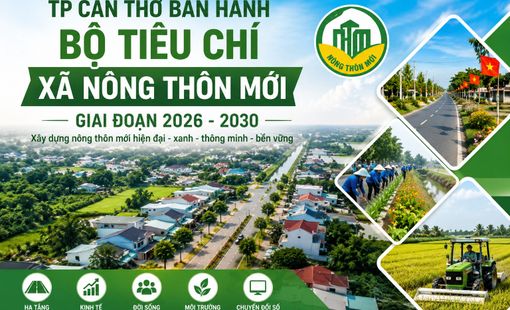TP Cần Thơ ban hành Bộ tiêu chí xã nông thôn mới giai đoạn 2026–2030