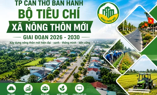 TP Cần Thơ ban hành Bộ tiêu chí xã nông thôn mới giai đoạn 2026–2030
