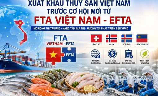 FTA Việt Nam - EFTA mở rộng dư địa xuất khẩu thủy sản vào phân khúc giá trị cao