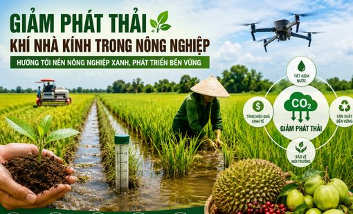 Giảm phát thải khí nhà kính trong nông nghiệp: Hướng đi tất yếu để nâng tầm nông sản Việt
