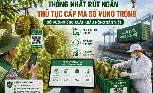 Thống nhất rút ngắn thủ tục cấp mã số vùng trồng, gỡ nút thắt cho xuất khẩu nông sản