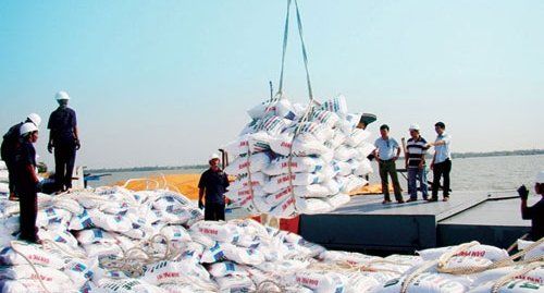 Xuất khẩu phân bón 6 tháng đầu năm đạt gần 1 tỷ USD, giá trị tăng hơn gấp đôi
