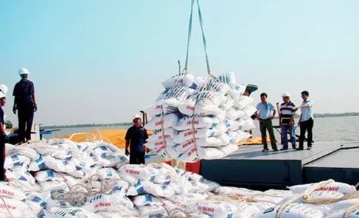 Xuất khẩu phân bón 6 tháng đầu năm đạt gần 1 tỷ USD, giá trị tăng hơn gấp đôi