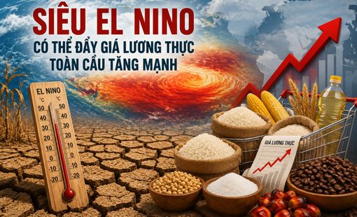 Siêu El Nino có thể thổi bùng giá lương thực toàn cầu, đe dọa an ninh lương thực nhiều quốc gia