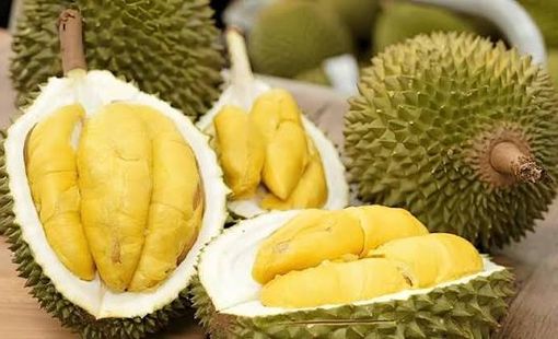 Giá sầu riêng hôm nay 14/7: Sầu riêng Thái tăng mạnh tại Đồng bằng sông Cửu Long, Ri6 phục hồi sau chuỗi giảm