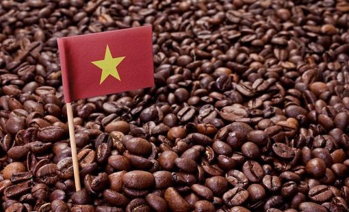 Cà phê Việt sau năm kỷ lục: Làm gì để không bỏ lỡ “thời điểm vàng”?