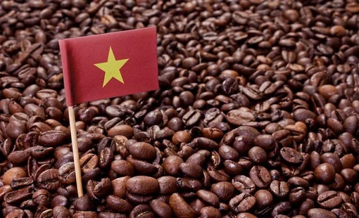 Cà phê Việt sau năm kỷ lục: Làm gì để không bỏ lỡ “thời điểm vàng”?