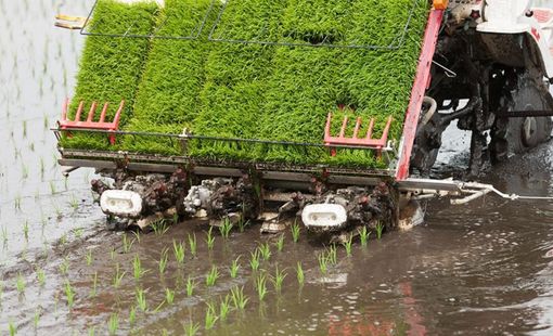Máy cấy thông minh: Chìa khóa cho sản xuất lúa chất lượng cao và phát thải thấp