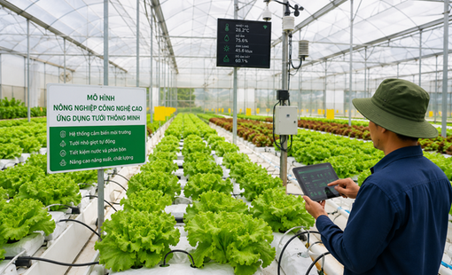 Đà Nẵng dành 150 tỷ đồng mỗi năm thúc đẩy nông nghiệp công nghệ cao