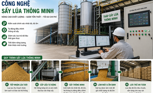 Không chỉ làm khô lúa: Công nghệ sấy thông minh đang tái định hình chất lượng gạo xuất khẩu