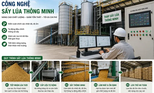 Không chỉ làm khô lúa: Công nghệ sấy thông minh đang tái định hình chất lượng gạo xuất khẩu