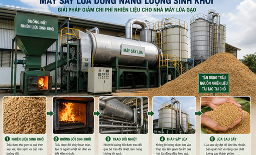 Máy sấy dùng năng lượng sinh khối: Giải bài toán chi phí nhiên liệu cho nhà máy lúa gạo