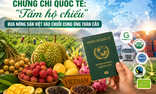Chứng chỉ quốc tế: "Tấm hộ chiếu" đưa nông sản Việt vào chuỗi cung ứng toàn cầu