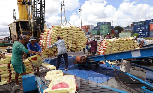 Nông lâm thủy sản Việt Nam: Xuất khẩu gần 36 tỷ USD, thị trường biến động mạnh