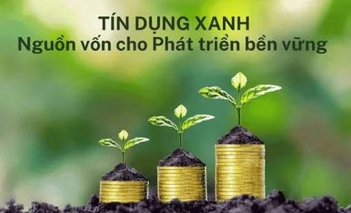 Tín dụng xanh: “Đòn bẩy” chiến lược cho doanh nghiệp công nghiệp nông thôn trong tiến trình tăng trưởng bền vững