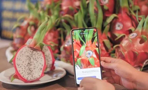 Không chỉ là mã QR: Truy xuất nguồn gốc đang trở thành "tấm hộ chiếu niềm tin" của nông sản Việt