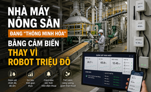 Nhà máy nông sản đang “thông minh hóa” bằng cảm biến thay vì robot triệu đô