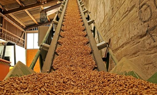 Từ trấu lúa đến mùn cưa: Phụ phẩm nông – lâm nghiệp đang tạo ra ngành nhiên liệu sinh khối tỷ USD