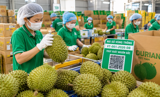 Hướng tới 74 tỷ USD xuất khẩu nông sản: Gỡ nút thắt từ thị trường đến vùng trồng